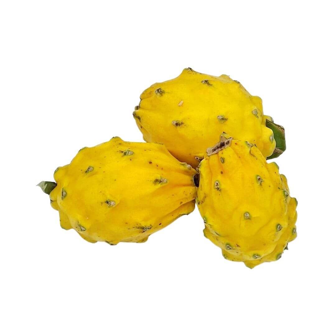 http://www.purveyd.com/cdn/shop/products/DRAGON-FRUIT.jpg?v=1652109257