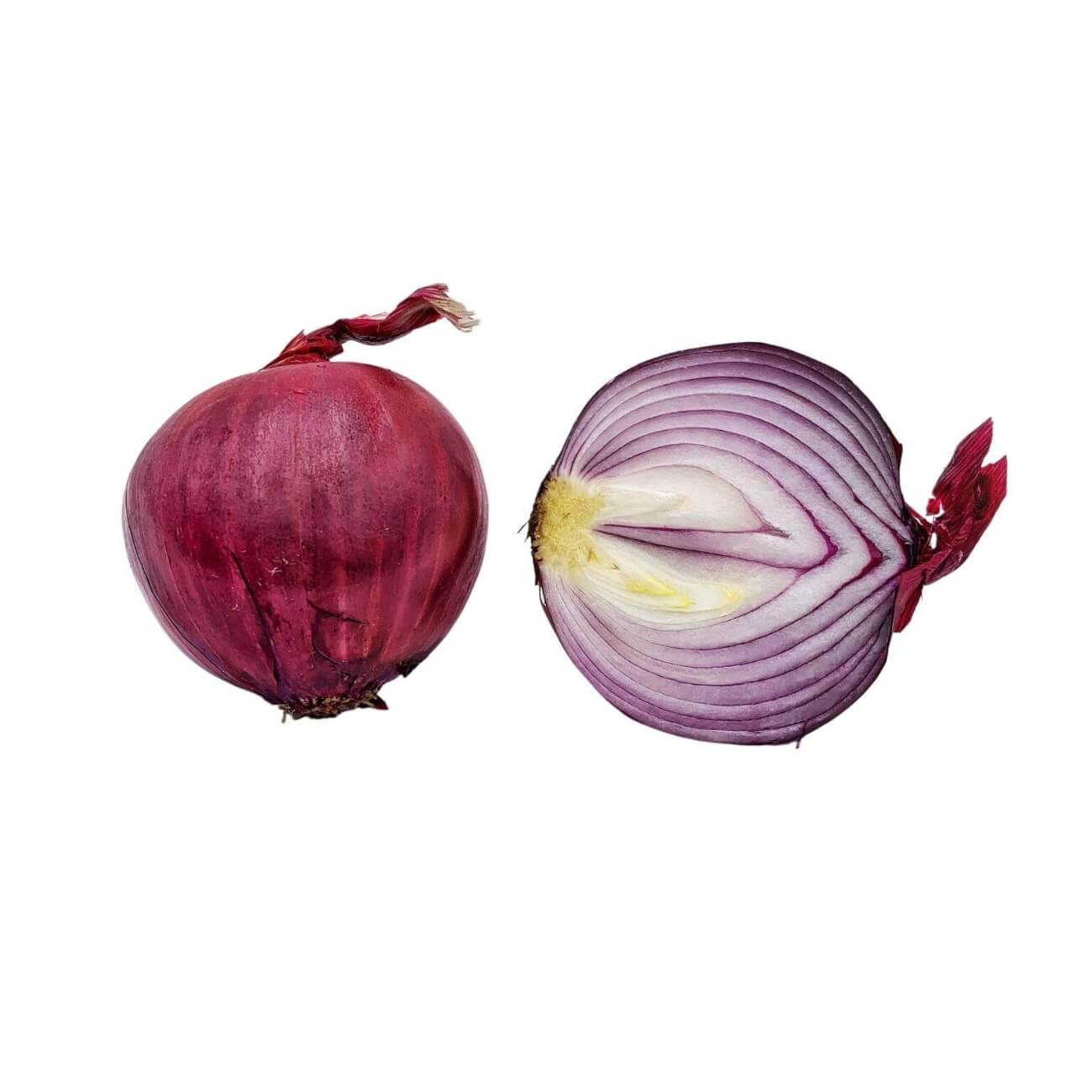 http://www.purveyd.com/cdn/shop/products/RED-ONION.jpg?v=1670353400